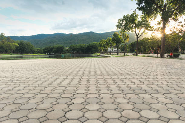 Trusted Elkins Park, PA Driveway Pavers Experts